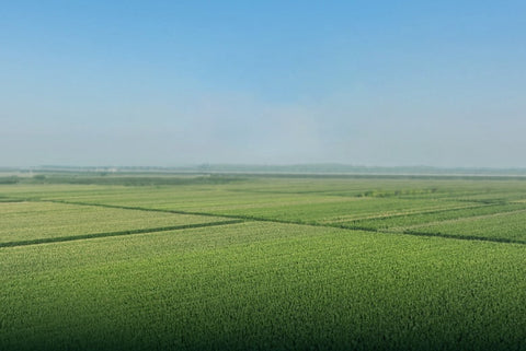 Agricultural drone survey and precision crop monitoring