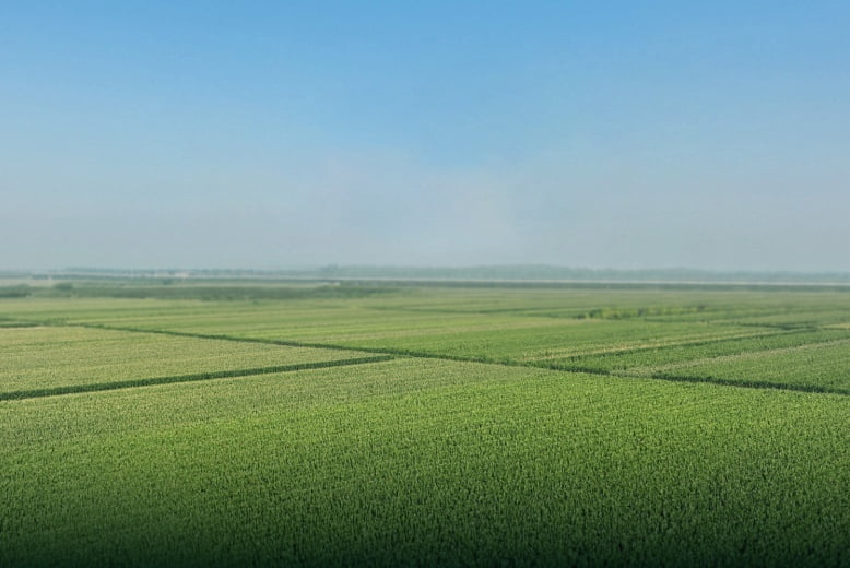Agricultural drone survey and precision crop monitoring